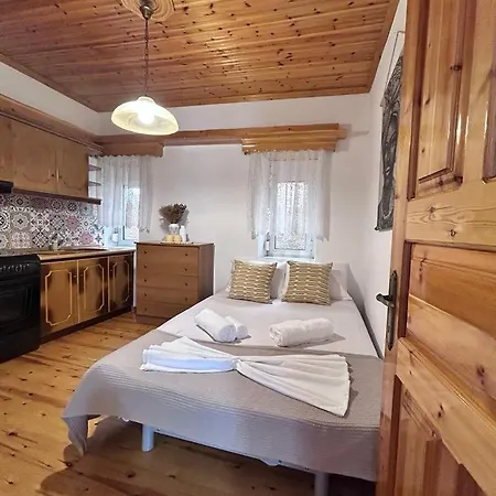 Vakantiehuis Vintagevibes *