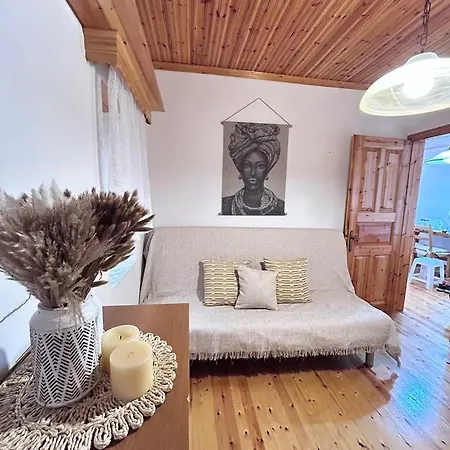 度假居 Vintagevibes *