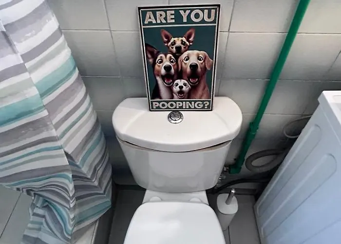 Vintagevibes Skála Marión